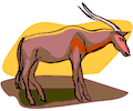Antelope 006