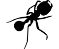Ant Silhouette