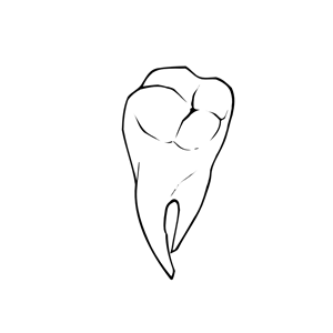 Raseone Tooth