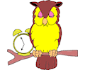 Owl with Alarm Clock.