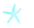 Star Fish Turquoise 00e5ee