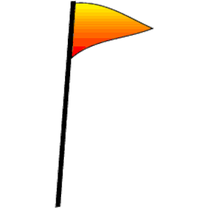 Plain Flag 10