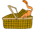 Cat in Picnic Basket