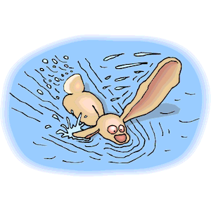 Rabbit Swimming