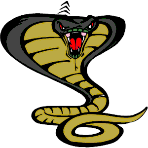 Snake Cobra