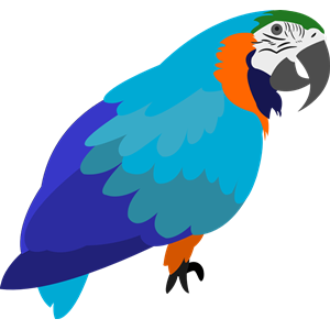 Cartoon Parrot