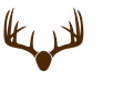 Brown Deer Skull Mount