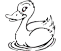 Duck 020