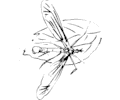 Flying Insect 3