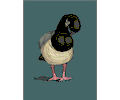 Duck 23