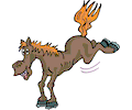 Horse Kicking
