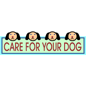 Care For Your Dog