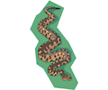 Snake 16