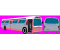 Transit Bus