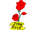 06 June - Rose