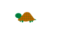 Revised Turtle
