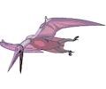 Pterodactylus 3