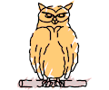 Owl 44