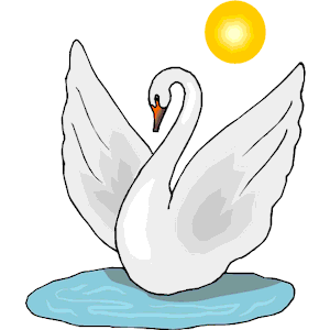Swan 20