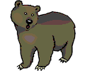 Bear 14
