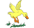 Duck Landing