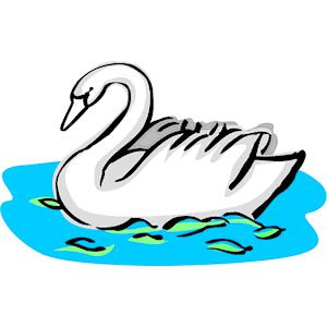 Swan 13