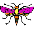 Bug 01