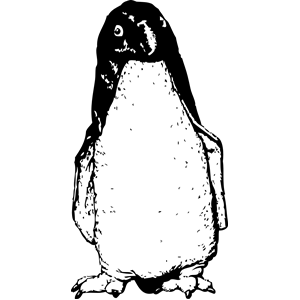 funky penguin from front