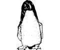 funky penguin from front
