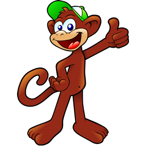 Monkey wearing a cap