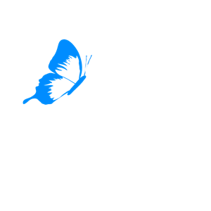 Mariposa Turquesa