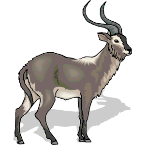Antelope 32