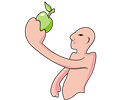 Bald Man And The Apple