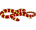 Snake 04