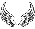 Angel wings 3