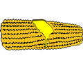 corn cob