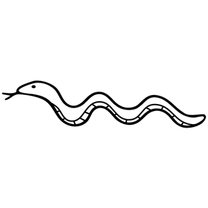 Snake Outline