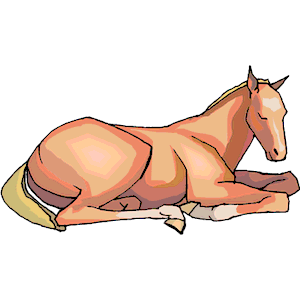 Horse Relaxing