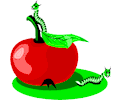 Worms in Apple