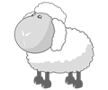 Sheep in gray