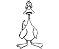 Duck 018