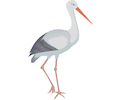 Stork 03