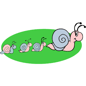 Snail Family