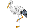 Stork 07