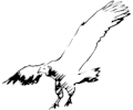 Vulture 3
