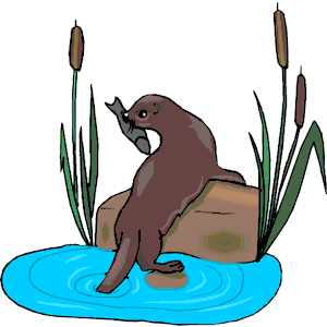 Otter with Fish
