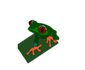 red eye frog mirko maisc 01