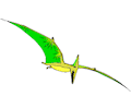 Dinornis 3