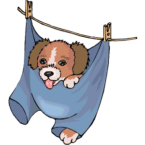 Puppy on Clothesline