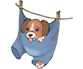 Puppy on Clothesline